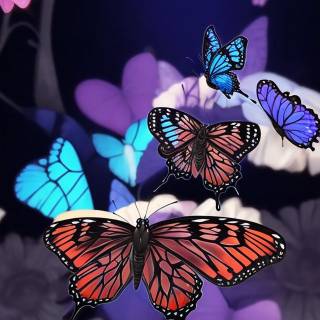 Flowers and butterflies iPhone wallpaper