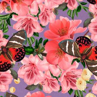 Flowers and butterflies iPhone wallpaper