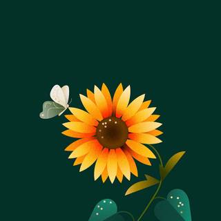 Flowers and butterflies iPhone wallpaper