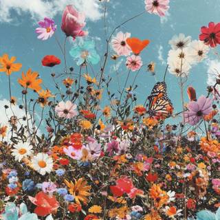 Flowers and butterflies iPhone wallpaper