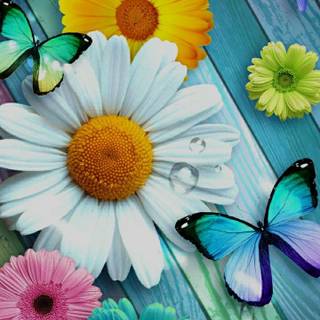 Flowers and butterflies iPhone wallpaper