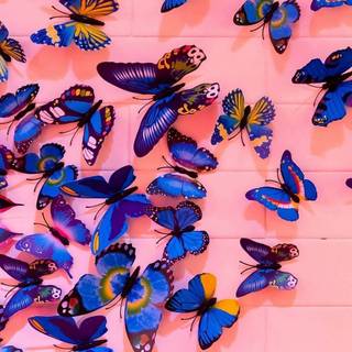 Flowers and butterflies iPhone wallpaper