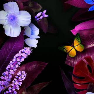 Flowers and butterflies iPhone wallpaper