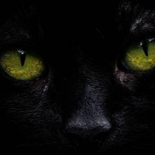 OLED iPhone XS Max wallpaper