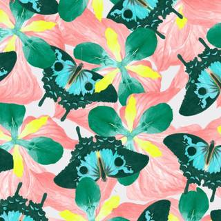 Flowers and butterflies iPhone wallpaper