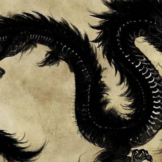 Black Chinese dragons wallpaper