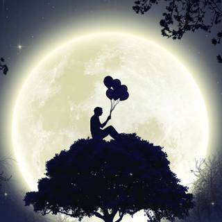 Tree shadow wallpaper