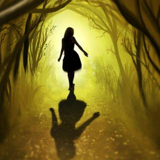 Tree shadow wallpaper