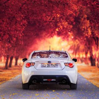 Ultrawide car wallpaper