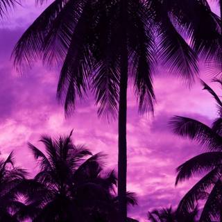 Tree shadow wallpaper