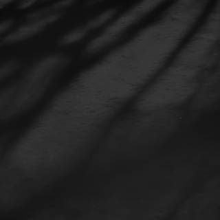 Tree shadow wallpaper