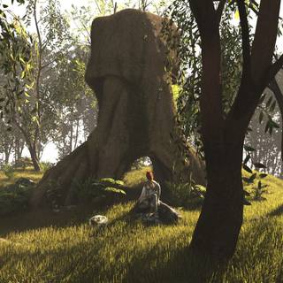 Tree shadow wallpaper