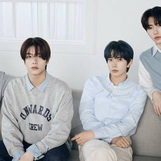 Enhypen HD wallpaper