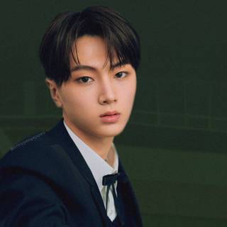 Enhypen HD wallpaper