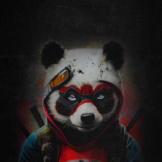 Panda 4k phone wallpaper