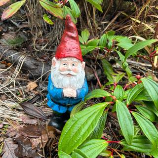 Computer cute gnome wallpaper