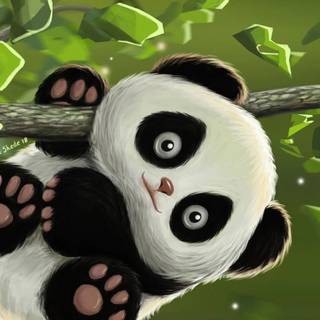 Panda 4k phone wallpaper