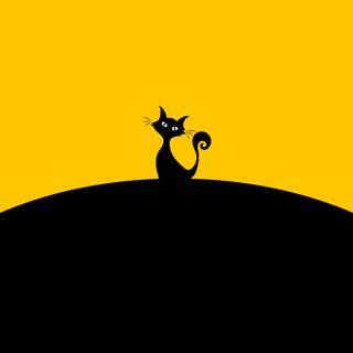 Black white and yellow wallpaper