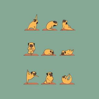 Cute but funny wallpaper