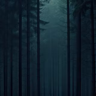 iPhone woods wallpaper