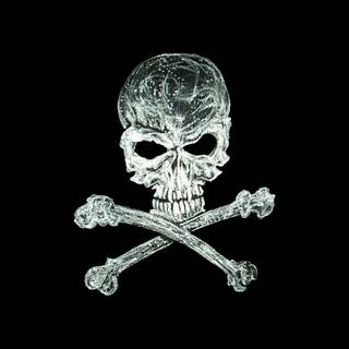 Skeleton logo wallpaper