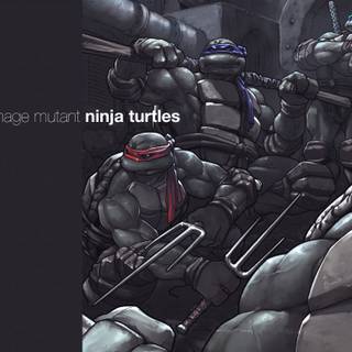 Ninja Turtles cool wallpaper