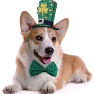 St. Patrick's Day dogs wallpaper
