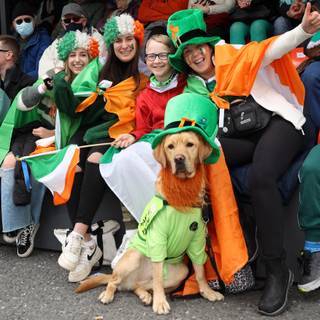 St. Patrick's Day dogs wallpaper