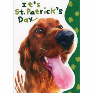St. Patrick's Day dogs wallpaper