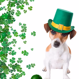 St. Patrick's Day dogs wallpaper