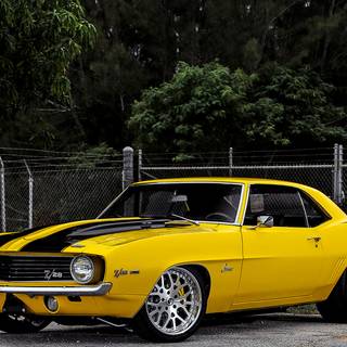Chevy Camaro 1969 wallpaper