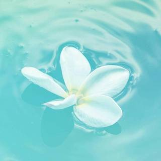 Pastel teal wallpaper