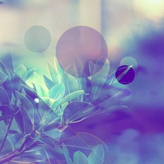 Pastel teal wallpaper