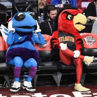 NBA mascots wallpaper