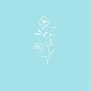 Pastel teal wallpaper