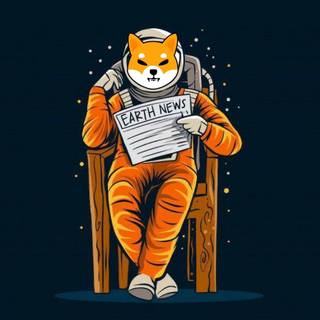 Shiba Inu coin wallpaper