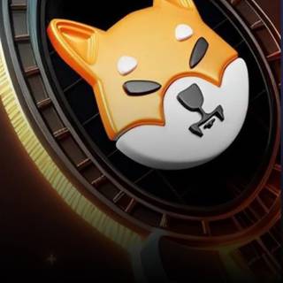 Shiba Inu coin wallpaper