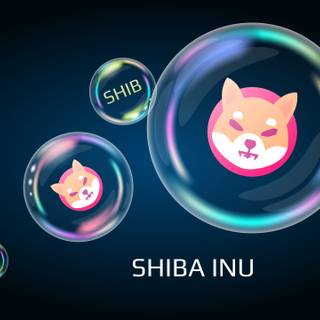 Shiba Inu coin wallpaper