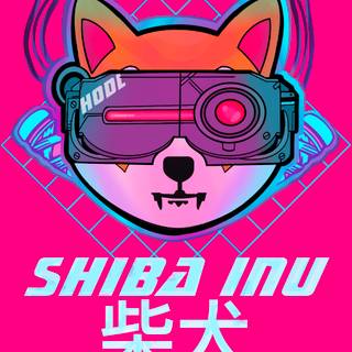 Shiba Inu coin wallpaper