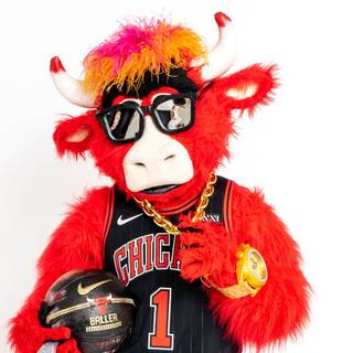 NBA mascots wallpaper