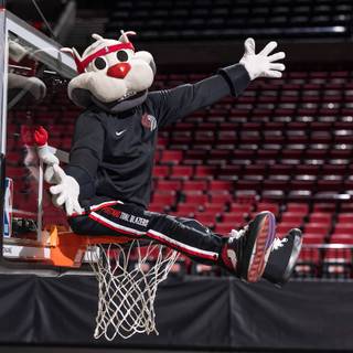 NBA mascots wallpaper