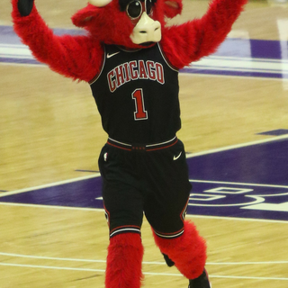 NBA mascots wallpaper