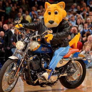 NBA mascots wallpaper