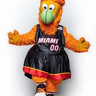 NBA mascots wallpaper