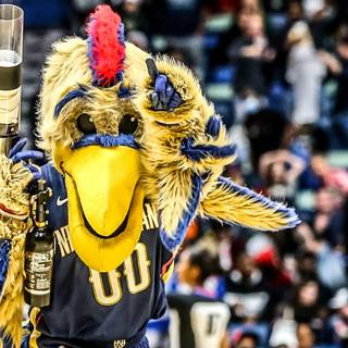 NBA mascots wallpaper