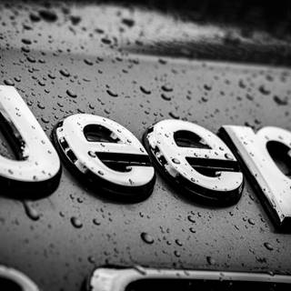 Water logo wallpaper