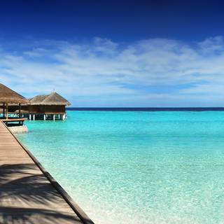 Travel agent wallpaper