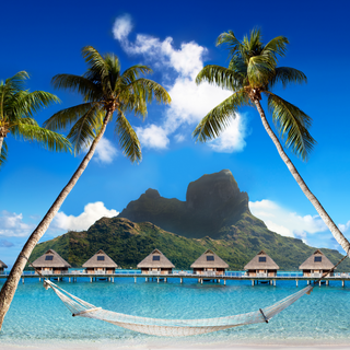 Travel agent wallpaper