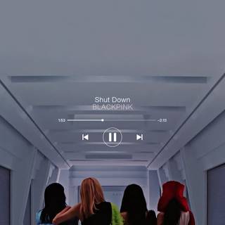 Shut Down Blackpink wallpaper