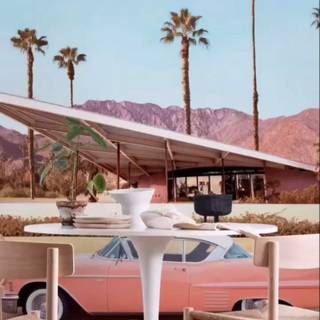 iPhone Palm Springs wallpaper